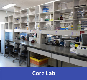 Core Lab
