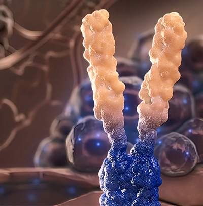 Therapeutic proteins