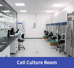 Cell Culture Room